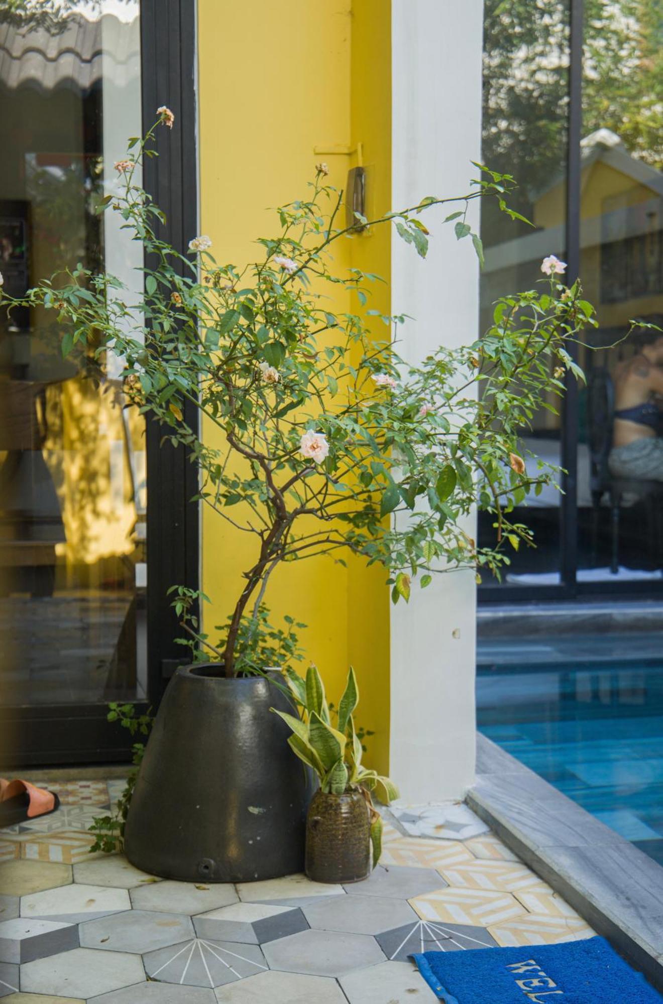 Rosie Villa Hội An Extérieur photo