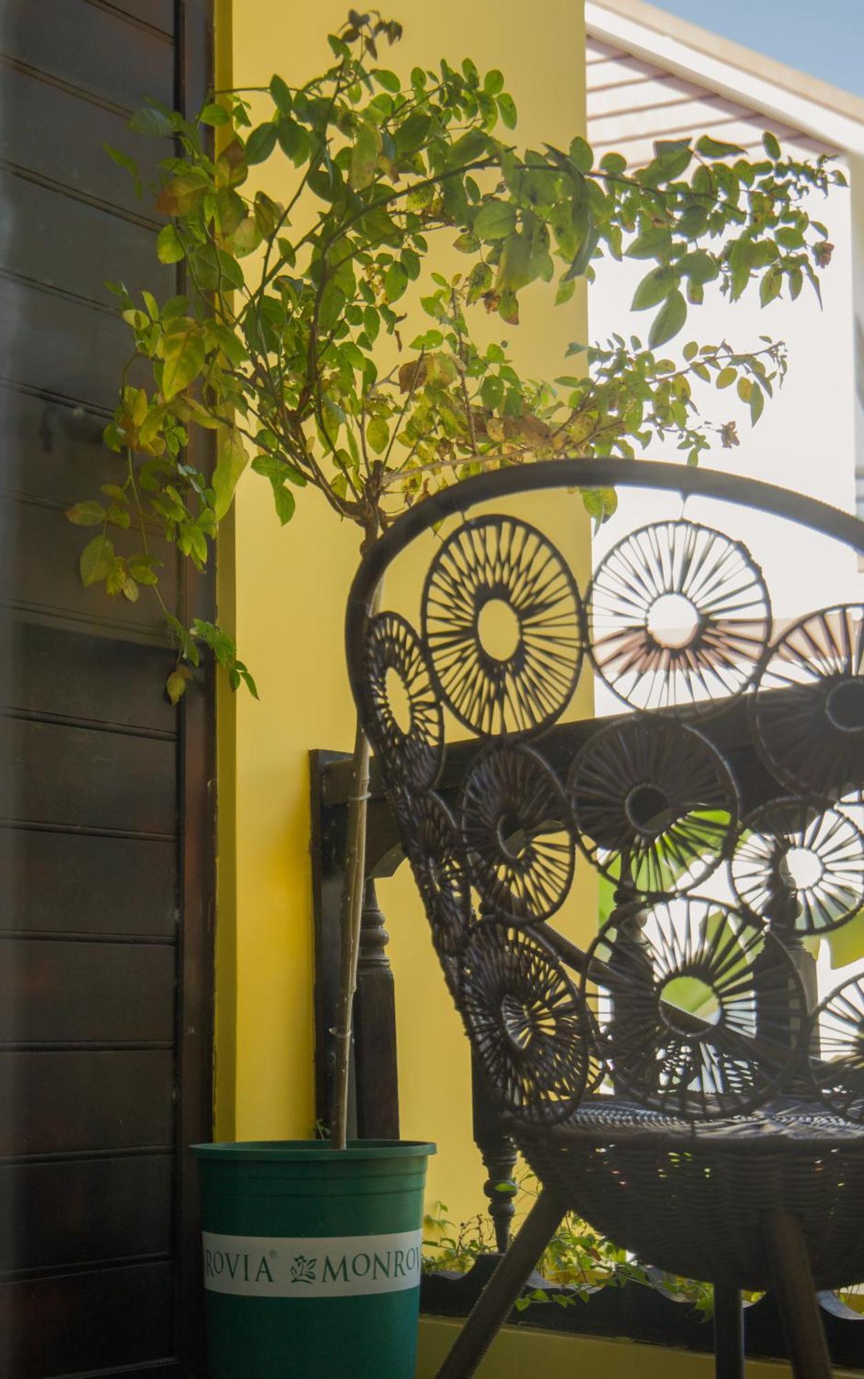 Rosie Villa Hội An Extérieur photo